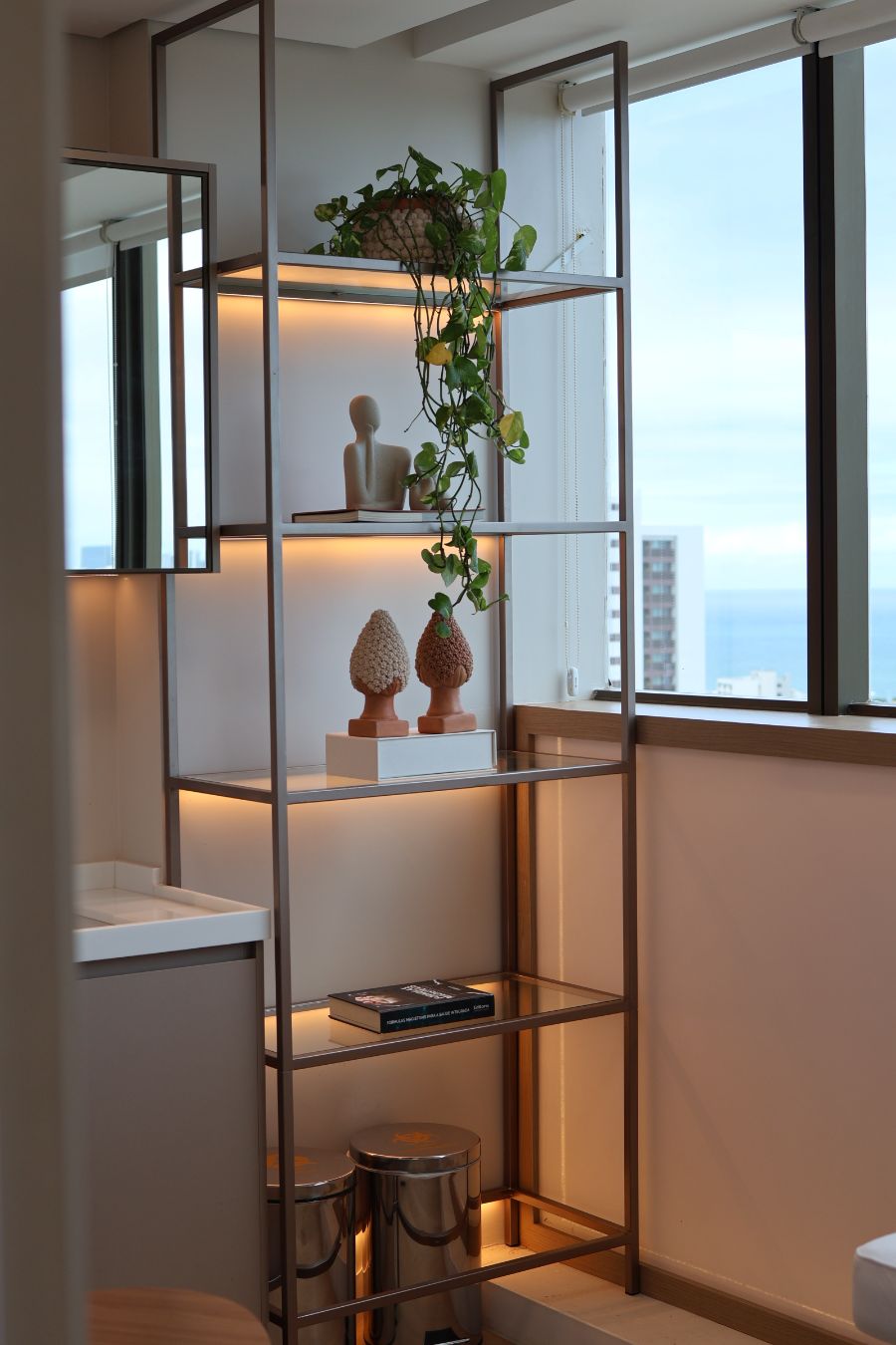 Estante decorativa do consultório