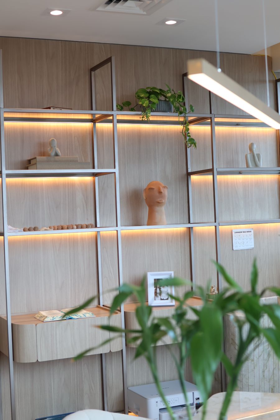 Estante iluminada do consultório